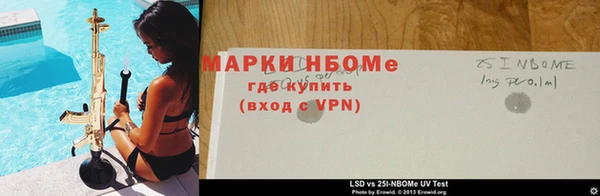 ПСИЛОЦИБИНОВЫЕ ГРИБЫ Костерёво
