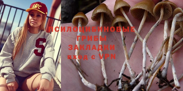 ПСИЛОЦИБИНОВЫЕ ГРИБЫ Костерёво