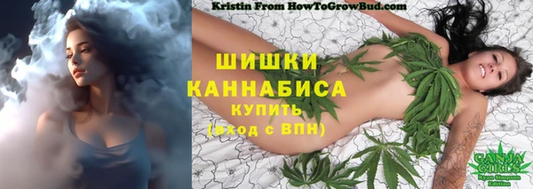 ПСИЛОЦИБИНОВЫЕ ГРИБЫ Костерёво
